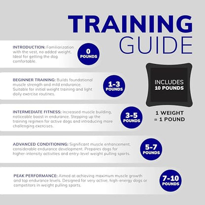 ActiveDogs Weighted Dog Vest with Weights - Dog Agility Training Equipment Jacket for Dog Exercise, Strength, Pulling & Endurance - Burn Calories & Build Muscle - Large 34-38 IN, 10 x 1LB