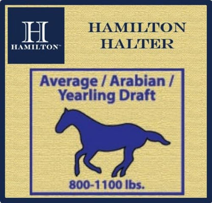 Hamilton Quality Horse Halter, 800-1100 lbs, Berry Blue - color: Berry Blue, size: Average, 800-1100lbs