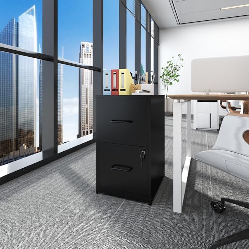 Metal File Cabinet with Drawer Heavy Duty Locking File Cabinets - color: Black, size: 25.6"H-2 drawers
