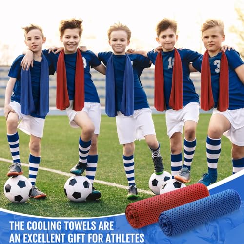 Hosuly 30 Pack Cooling Towels 40"x12" - color: Dark Blue, Red