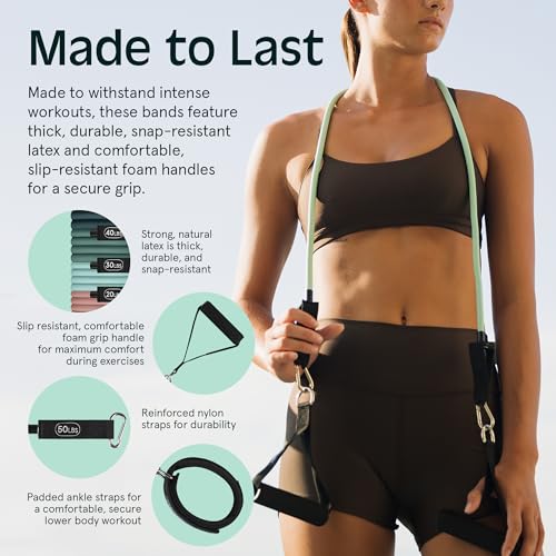 Retrospec Train Resistance Bands Set for Working Out - 5 Stackable Bands, Handles & Door Anchor - Portable Fitness Equipment for Physical Therapy & Yoga Includes Carry Bag