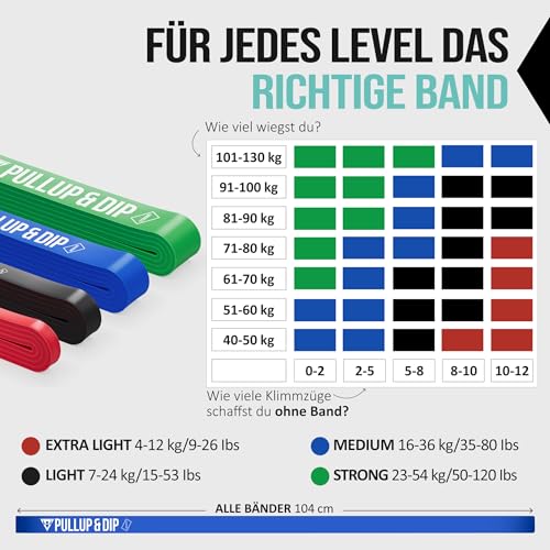 Pullup & DIP Fitness Bands, Resistance Bands with Bag, Door Anchor (with Sets) and Exercise Guide - Single & in Value Set, Pull-Up Band Fitness Band for Calisthenics