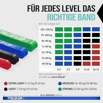 Pullup & DIP Fitness Bands, Resistance Bands with Bag, Door Anchor (with Sets) and Exercise Guide - Single & in Value Set, Pull-Up Band Fitness Band for Calisthenics