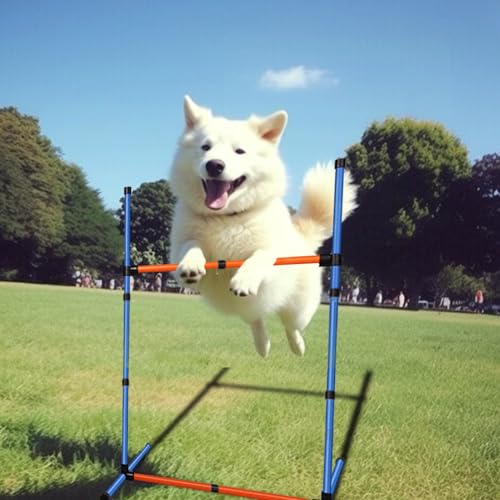 Dog Agility Equipment Set,Pets Agility Training Equipment,Weave Poles, Adjustable Hurdle, Jump Ring, Pause Box and Storage Bag