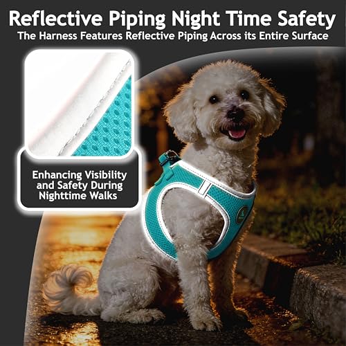 Kruz Dog Harness (Chest 16"-17", Weight 10–15 lbs) Athletica Adjustable Heavy Duty No Choke Puppy Vest for Small Dogs Lightweight Air Mesh, Reflective, Puppy Essentials – Turquoise, Medium