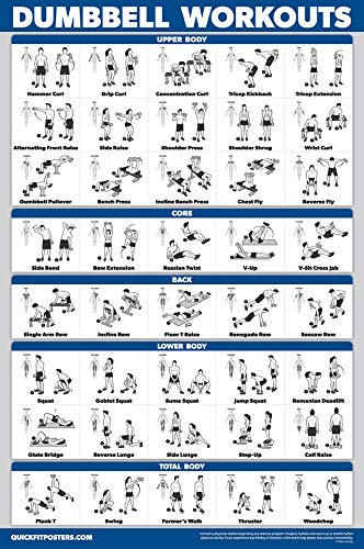 Palace Learning 4 Pack - Dumbbell Workouts + Bodyweight Exercises + Resistance Bands Workouts + Warm Up Exercises - Set of 4 Workout Charts (LAMINATED, 18” x 24”) - color: LAMINATED