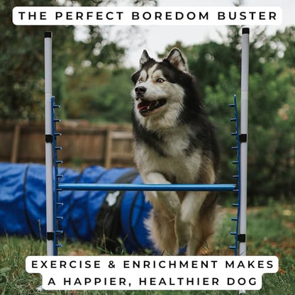 4 Pack Adjustable Dog Agility Bar Jumps w/Cup Strips | Competition-Style Jump Cups for Height Class & Safe Displacement