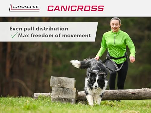 Dog Weight Pulling Harness, XBack for Canicross, Dog Sport, Bike Joring, Ski Joring, Sled Harness, Dog mushing, Dog Running Harness, Black Lightblue