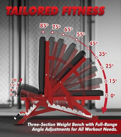 RitFit Rubber Coated Hex Dumbbell Set with Rack, 5-780LB for Home Gym Strength Training, Anti-Slip Knurled Handle, Hexagon Anti-Roll, Heavy-Duty Storage Rack - style: 300 LB Set with Red Adjustable Weight Bench (10-50LB）