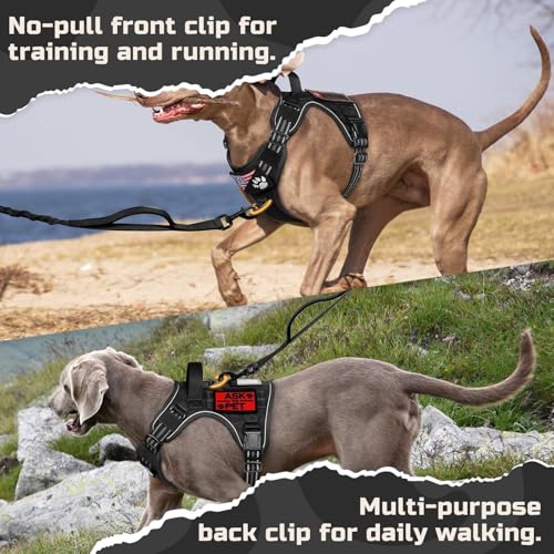 rabbitgoo Tactical Dog Harness for Large, No Pull Military Service Vest - color: Black, size: Large