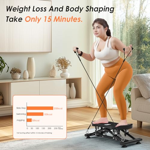 Balance Board for Adults, Rocking Stepper with Resistance Bands, Portable Wobble Board Featuring LCD Monitor, 300 lbs Capacity Ski Balance Trainer for Full Body Workout at Home Gym