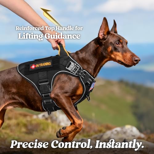 rabbitgoo Tactical Dog Harness for Small, Heavy Duty Military No Pull Vest - color: Black Reflex, size: Small
