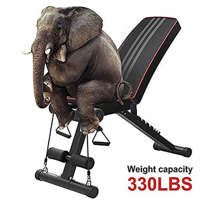 Weight Bench Adjustable Foldable Compact Workout Bench for Home Gym Multifunctional Bench Press Full Body Workout Equipment for Strength Training