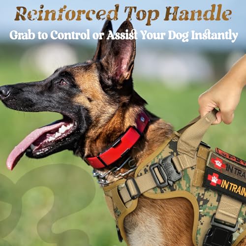 rabbitgoo Tactical Dog Harness X-Large, Heavy Duty Military No Pull Vest - color: Brown Camo, size: X-Large