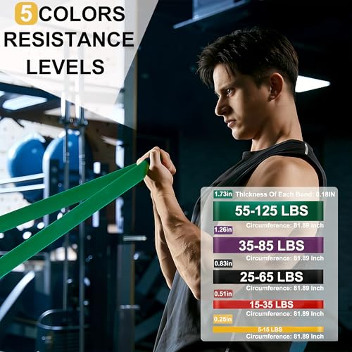 Resistance Bands, Pull Up Assistance Bands, 5-Level Heavy Duty Exercise Bands for Working Out, Stretch Workout Bands for Men & Women, Fitness Elastic Bands for Home Gym & Physical Therapy
