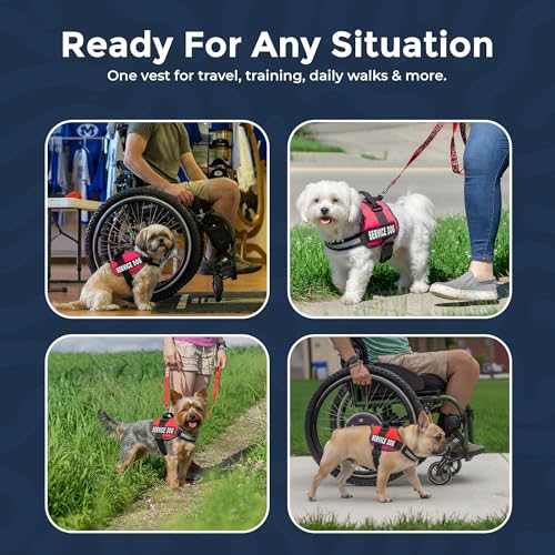 Service Dog Vest Harness - Durable & Adjustable Vest for Dog with Reflective Straps, Removable Patches, 50 ADA Cards, Handle & D-Ring, Travel and Daily Use,Bright Red, Small 19.5"-25"