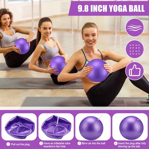 10 Pcs Pilates Ring Blocks Set for Women Home Yoga Equipment Accessories Pilates Ring Circle and Ball Workouts Gift Include Ball Yoga Circle Resistance Bands Block Straps Gym Bag - color: Purple