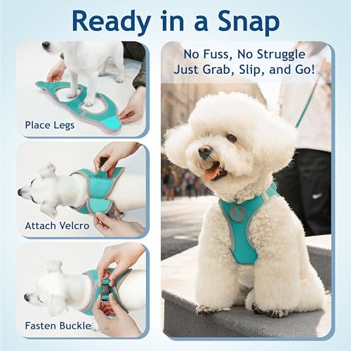 Kruz Dog Harness (Chest 16"-17", Weight 10–15 lbs) Athletica Adjustable Heavy Duty No Choke Puppy Vest for Small Dogs Lightweight Air Mesh, Reflective, Puppy Essentials – Turquoise, Medium