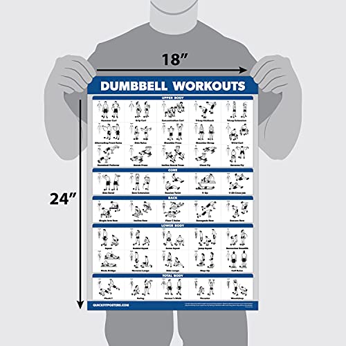 Palace Learning 4 Pack - Dumbbell + Barbell + Bodyweight Workouts - Muscle Set of 4 Laminated Charts (18'' x 24'')