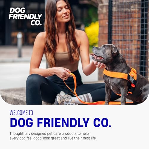 Dog Friendly Co. Dog Harness | Chafe Resistant Webbing, Adjustable Neck & Chest, and Heavy Duty D-Ring | Sturdy, Comfortable, Easy to Use | Green Camo, Size L