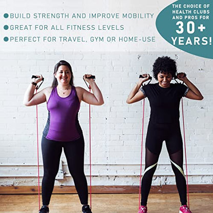Resistance Bands with Handles, Single Resistance Bands, Exercise Bands with Handles, for Resistance Training, Physical Therapy, Home Workouts, Fitness, Pilates - color: green-30lbs