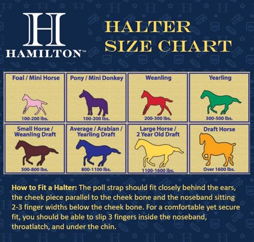 Hamilton Quality Horse Halter, 800-1100 lbs, Lavender Weave - color: Lavender Weave, size: Average, 800-1100lbs