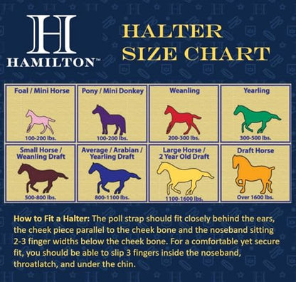 Hamilton Quality Horse Halter, 800-1100 lbs, Lavender Weave - color: Lavender Weave, size: Average, 800-1100lbs