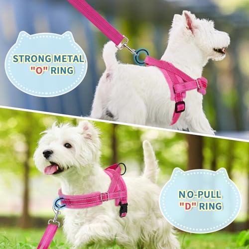 SlowTon No Pull Small Dog Harness and Leash Set, Puppy Soft Vest Harness Neck & Chest Adjustable, Reflective Lightweight Harness & Anti-Twist Pet Lead Combo for Small Medium Dogs (Fuchsia, XS)