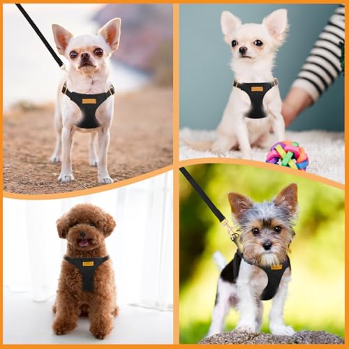 Lukovee No Pull Small Dog Harness and Leash Set - Adjustable Lightweight Soft Puppy Vest, Step-in Pet Harness with 49in Leash for Daily Walking Small Medium Dogs (Black, XS) - color: Black, size: X-Small (4.5-11 lb)