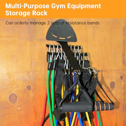 Resistance Bands Set with Gym Storage Rack for Working Out, Fitness Exercise Bands,Workout Bands,Strength Bands,Weight Bands,Training Bands,Dopa Bands,Elastic Resistance Tubes with Handles