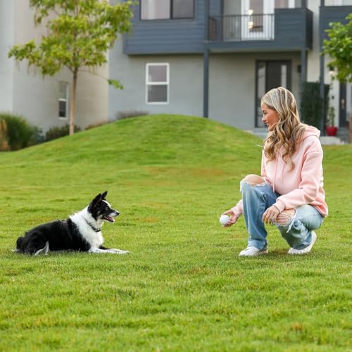 EM^2 EM2 Lacrosse Ball Set of 6 - Multi-Purpose Lacrosse Balls for Massage, Sport & Pet Play - Durable, Long Lasting and No Smell