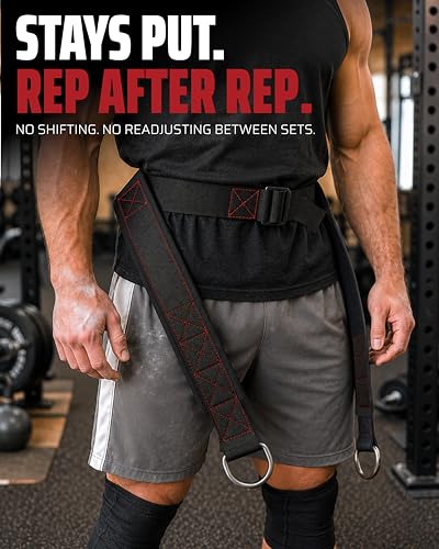 THEFITGUY Ultimate Belt for Belt Squats, Rack Attachment and Squat Machine, Structured Back Support, Stays Low During Down Movement, Padded Hip & Thigh Area, Buckle Strap - No Sliding Down, Heavy Duty