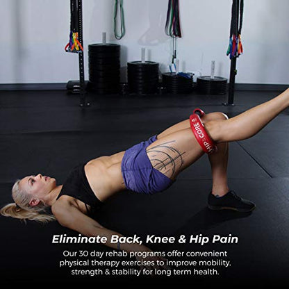 Crossover Symmetry Hip & Core System - Loop Resistance Home Workout Bands to Stretch and Strengthen Legs, Butt, Hips, Thighs and Glutes, Includes Online Exercise & Training Guide