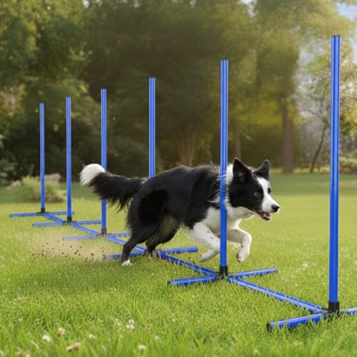 6 Weave Poles or 2 Hurdle Dog Agility Set, Indoor & Outdoor - color: Blue Weave Poles 6