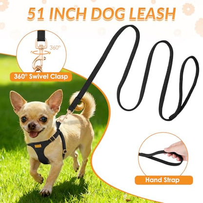 Lukovee No Pull Small Dog Harness and Leash Set - Adjustable Lightweight Soft Puppy Vest, Step-in Pet Harness with 49in Leash for Daily Walking Small Medium Dogs (Black, XS) - color: Black, size: X-Small (4.5-11 lb)