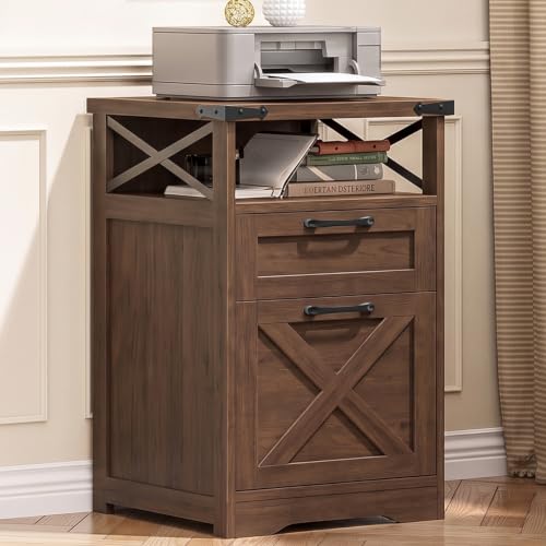 Vabches Office Filing Vertical Cabinet with 2 Drawers, Walnut. - color: Walnut, size: Vertical