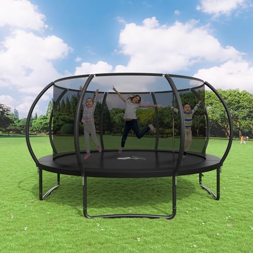 8FT 10FT 12FT 14FT 16FT Outdoor Trampoline with Safety Enclosure Net - color: Black, size: 14 FT