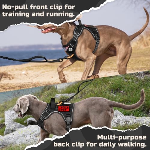 rabbitgoo Tactical Dog Harness for Small, No Pull Military Service Vest - color: Black, size: Small