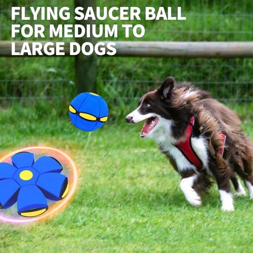 2PCS Dog Flying Disc Toy, Pet Toy Flying Saucer Ball with 3 Light for Dogs, Dog Toy Outdoor Toy Doggy Disc Ball, Outdoor Games - color: Green+Blue