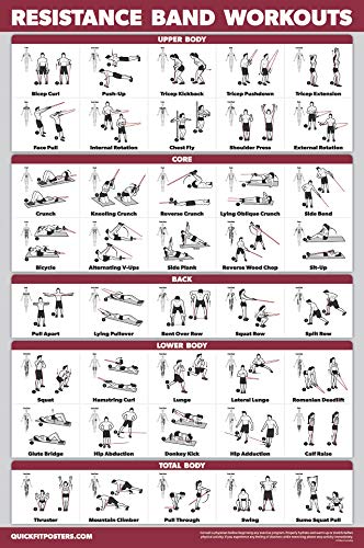 Palace Learning 4 Pack - Dumbbell Workouts + Bodyweight Exercises + Resistance Bands Workouts + Warm Up Exercises - Set of 4 Workout Charts (LAMINATED, 18” x 24”) - color: LAMINATED