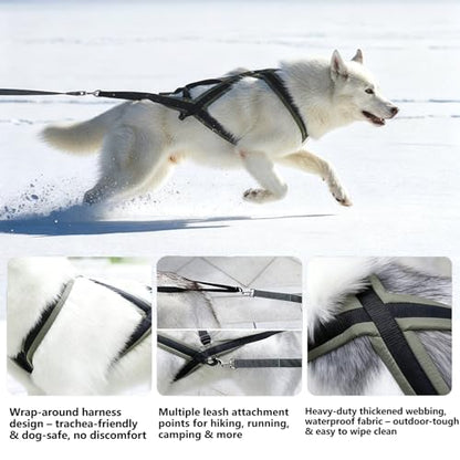 Weight Pulling Dog Harness for Dogs - Dog Pulling Harness for Sled & Running Training (Forest Green,L)