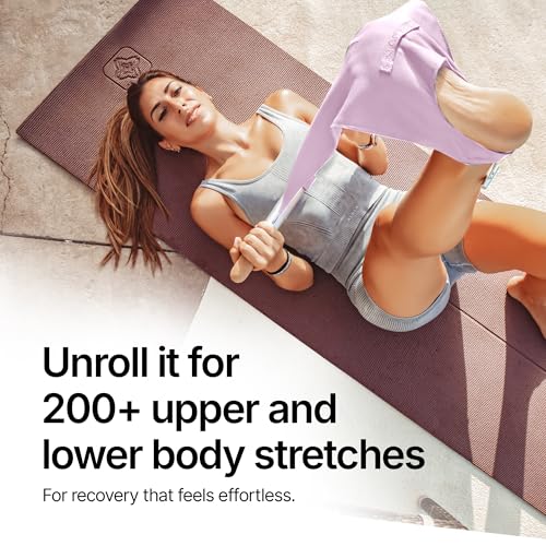 CastleFlexx Mobility and Full Body Strengthening Device