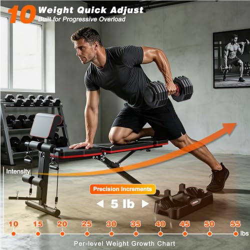 GIKPAL Adjustable Weight Bench - Workout Bench Press for Home Gym - color: Weight Bench & Pro 10-Gear 55lbs Pair