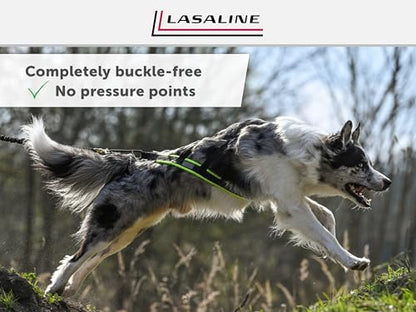 Dog Weight Pulling Harness, XBack for Canicross, Dog Sport, Bike Joring, Ski Joring, Sled Harness, Dog mushing, Dog Running Harness, Black Lightblue