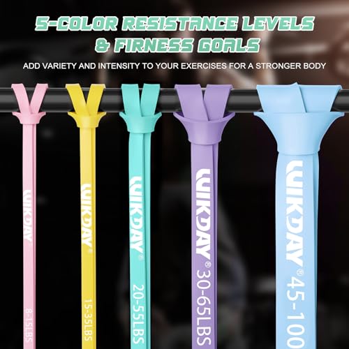 Resistance Bands, Pull Up Bands, Workout Bands for Exercise, Thick Heavy Resistance Band Set with Door Anchor, Elastic Bands for Body Stretching, Training at Home/Gym for Men & Women