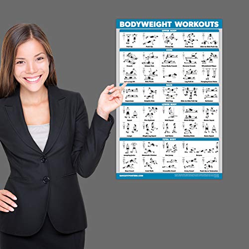 Palace Learning 4 Pack - Dumbbell + Barbell + Bodyweight Workouts - Muscle Set of 4 Laminated Charts (18'' x 24'')