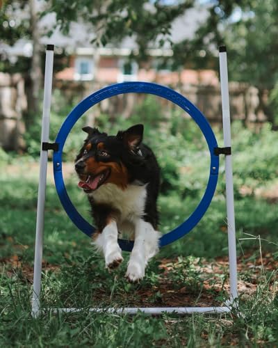 4 Pack Adjustable Dog Agility Jumps w/Safety-Focused Features | 2 Bar Jumps with Cup Strips | 2 Breakaway Tire Jumps