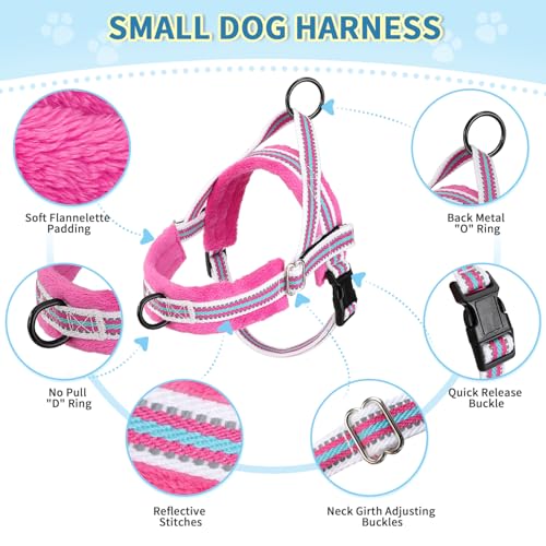 Lukovee No Pull Dog Harness and Leash Set, Soft Padded Small Dog Harness, Neck & Chest Adjustable Reflective Vest Puppy Harness with 4ft Lightweight Anti-Twist Dog Leash for Small Dogs (XS, Fuschia)