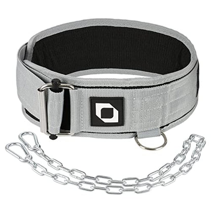 2-in-1 Multi Purpose Weight Lifting Belt & Weighted Dip Belt - Functional Exercise, Strength Training, Powerlifting, Deadlift, Squat, Olympic Lifts - Weighted Dips, Chin-ups, Pull-ups 100% Nylon - color: Gray, size: Medium