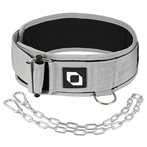 2-in-1 Multi Purpose Weight Lifting Belt & Weighted Dip Belt - Functional Exercise, Strength Training, Powerlifting, Deadlift, Squat, Olympic Lifts - Weighted Dips, Chin-ups, Pull-ups 100% Nylon - color: Gray, size: Medium